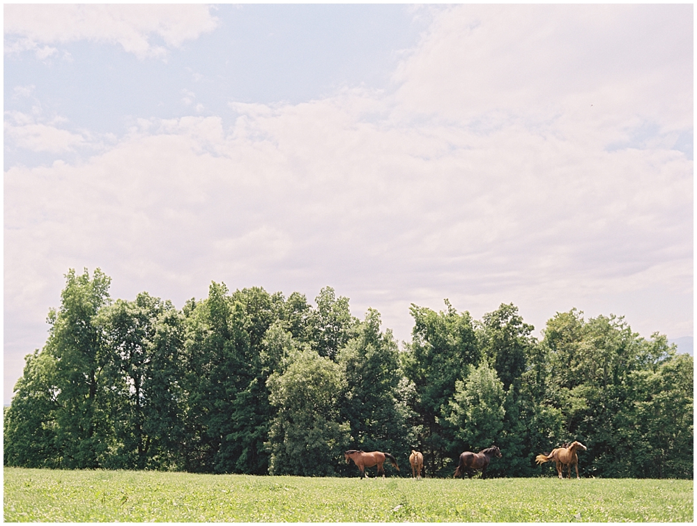 the-hill-hudson-ny-farm-wedding-photographer11