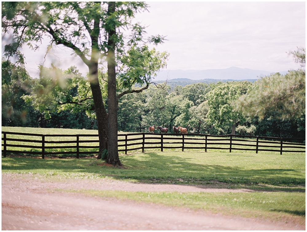 the-hill-hudson-ny-farm-wedding-photographer5